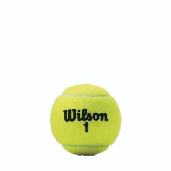 توپ تنیس مدل Championship Tennis Balls 3 Ball Can